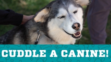 Cuddle a Canine event set for April 20