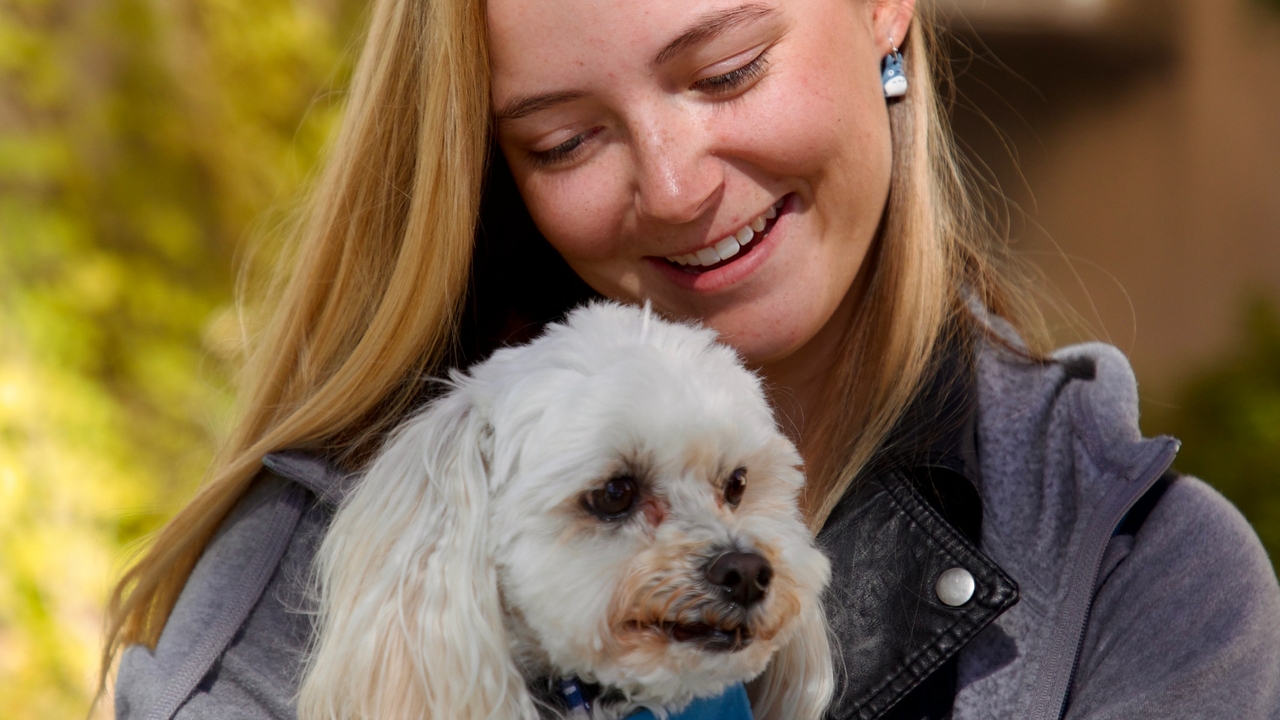 Cuddle a Canine- vertical