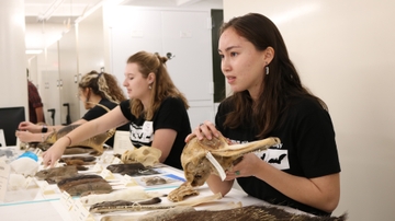Museum of Southwestern Biology hosts evolution-themed events