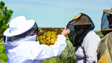 ‘Bee-ing’ a part of the pollinator conservation movement