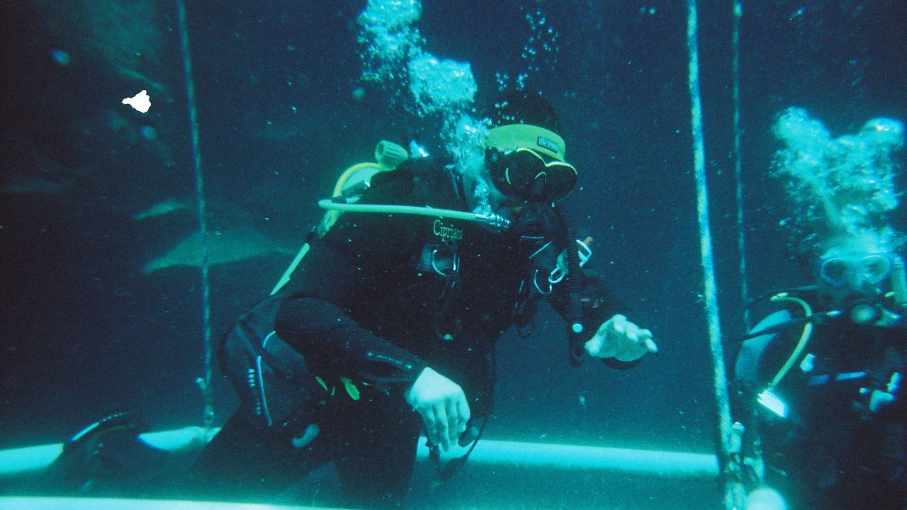 Scuba diving  with OAC at Blue Hole