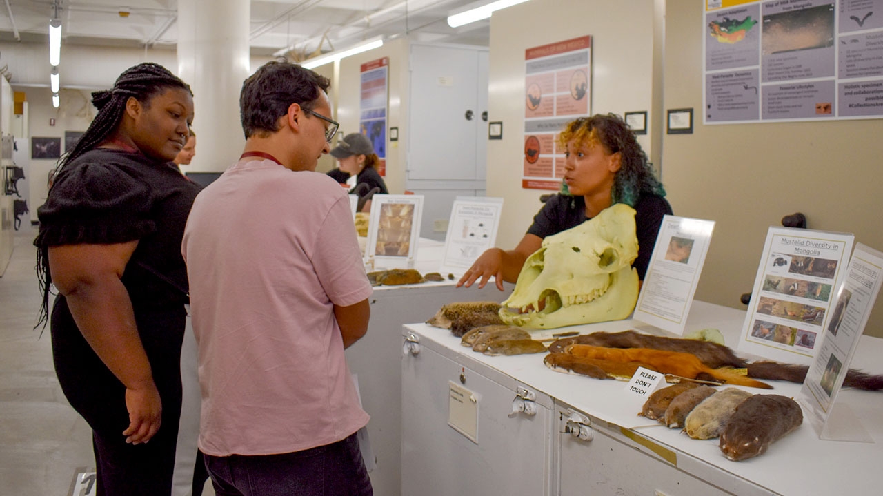 A student shares her research 