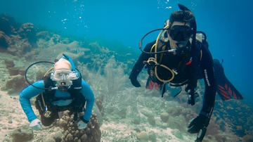 UNM researchers take a deep dive into our changing planet with SIMReef project