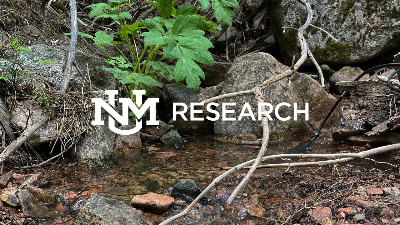 Headwater Stream Graphic
