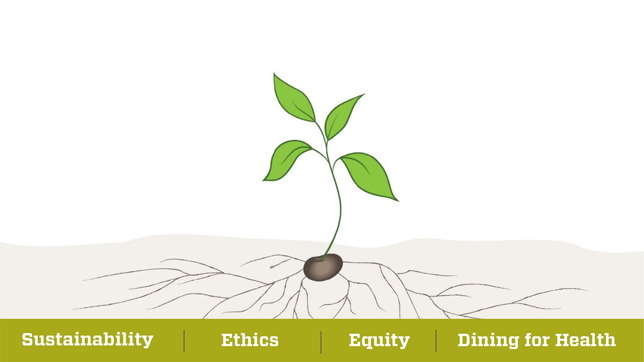 Seed Framework