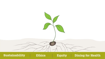 The power of plants and how they are changing the way we eat and live