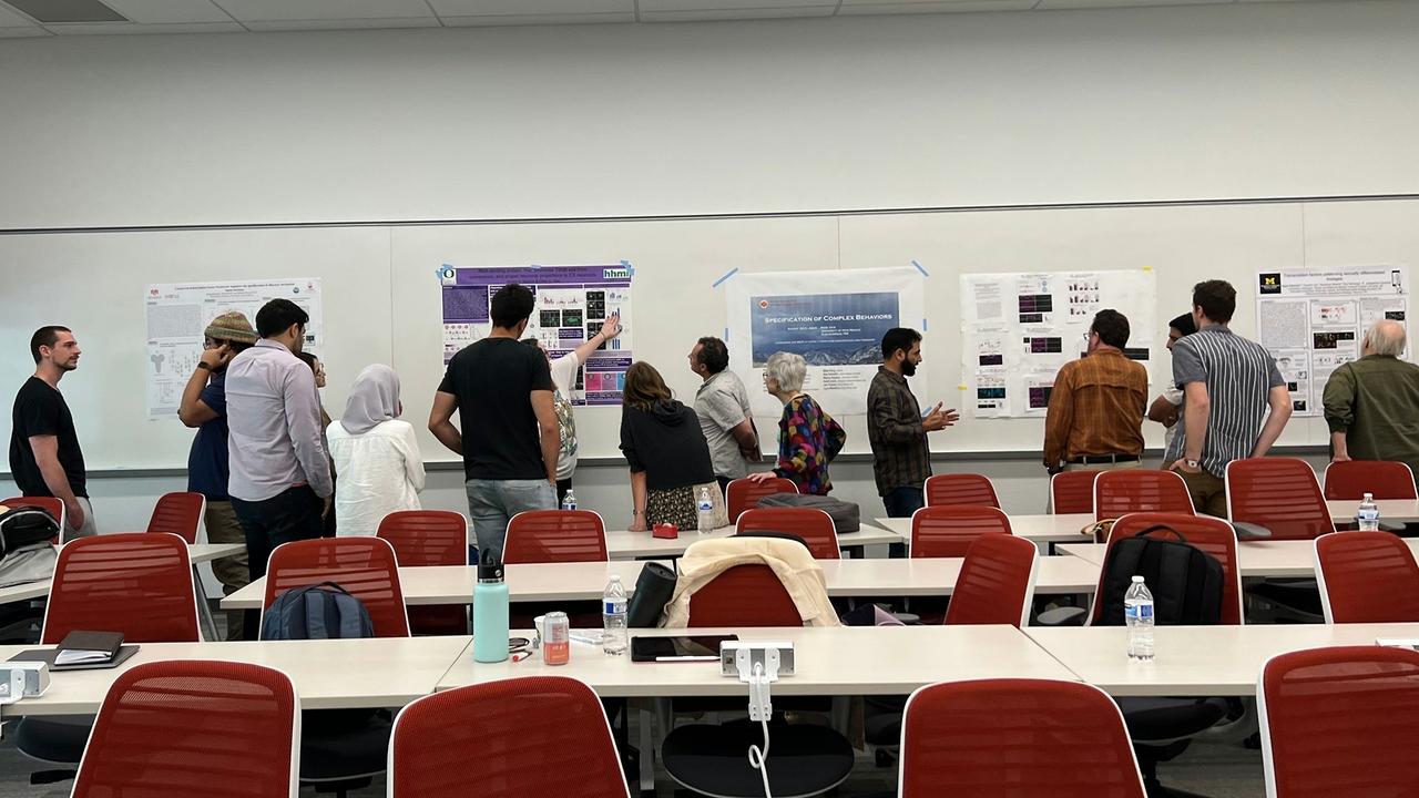 Neuroscience conference 2023