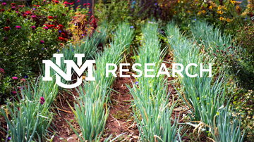 UNM researchers team up with University of Wisconsin–Madison to send tomatoes into space 