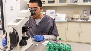 U-RISE supports student biomedical research