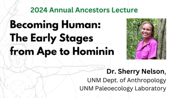 Maxwell Ancestors lecture to focus on the early stages of human evolution