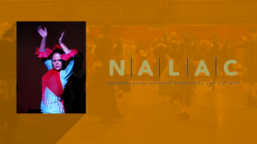 Flamenco professor and director named national fellow