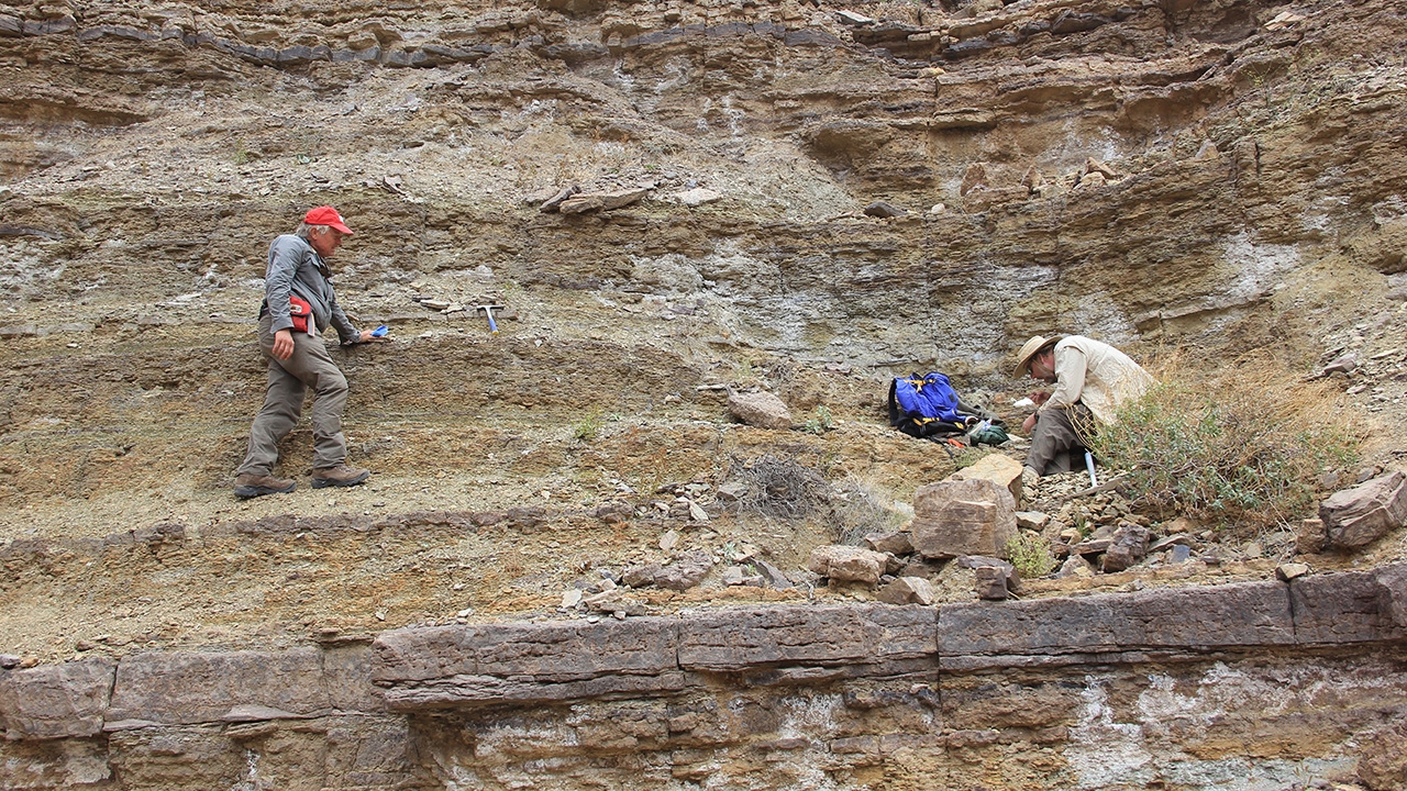 Fred Sundberg (r.) finding trilobite fossils among shales, 