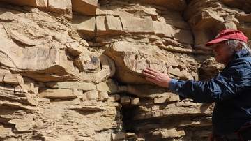 Geologists rewrite textbooks with new insights from Cambrian Rocks of Grand Canyon