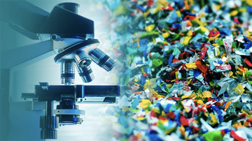 UNM Health Sciences celebrates a year of discoveries and accomplishments in 2024