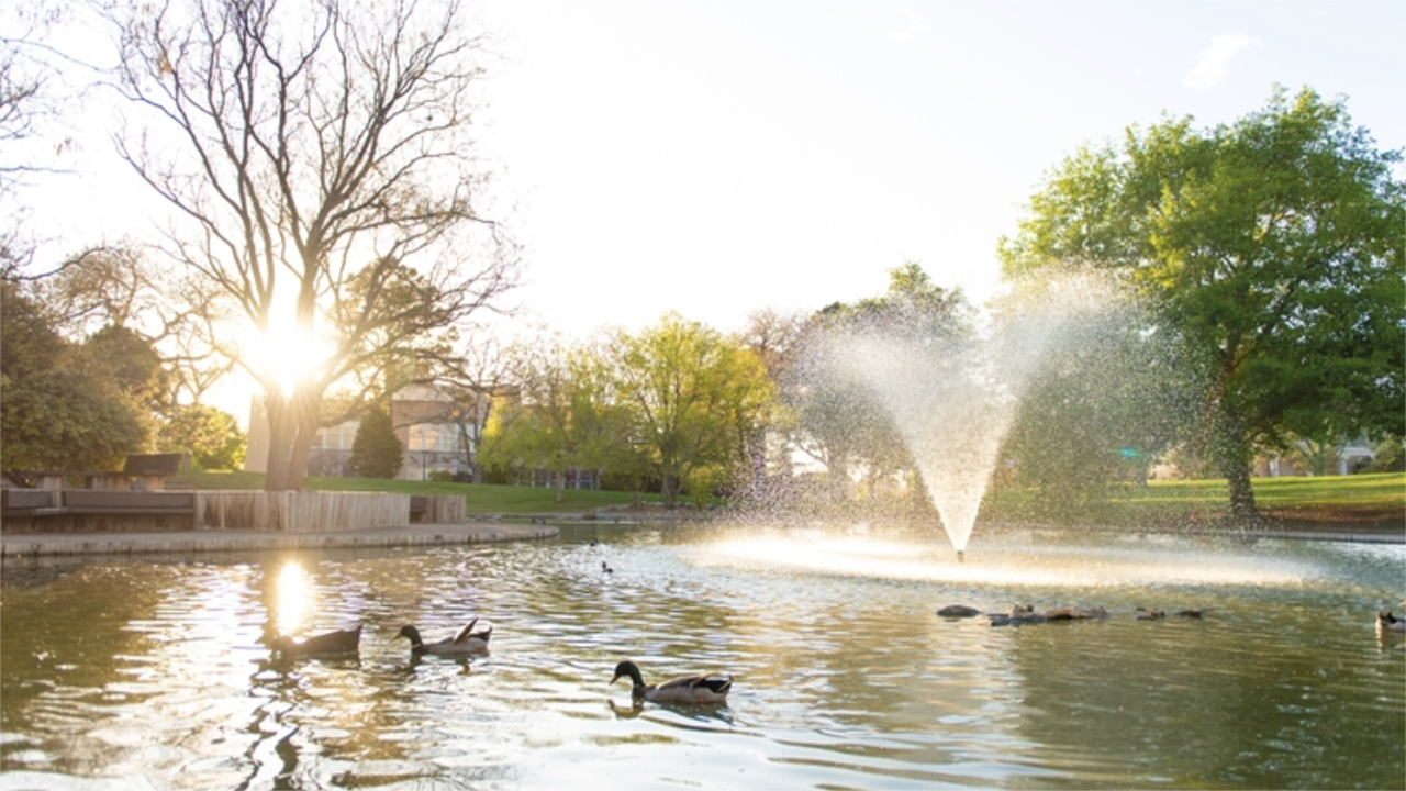 UNM Duck Pond a favorite place 