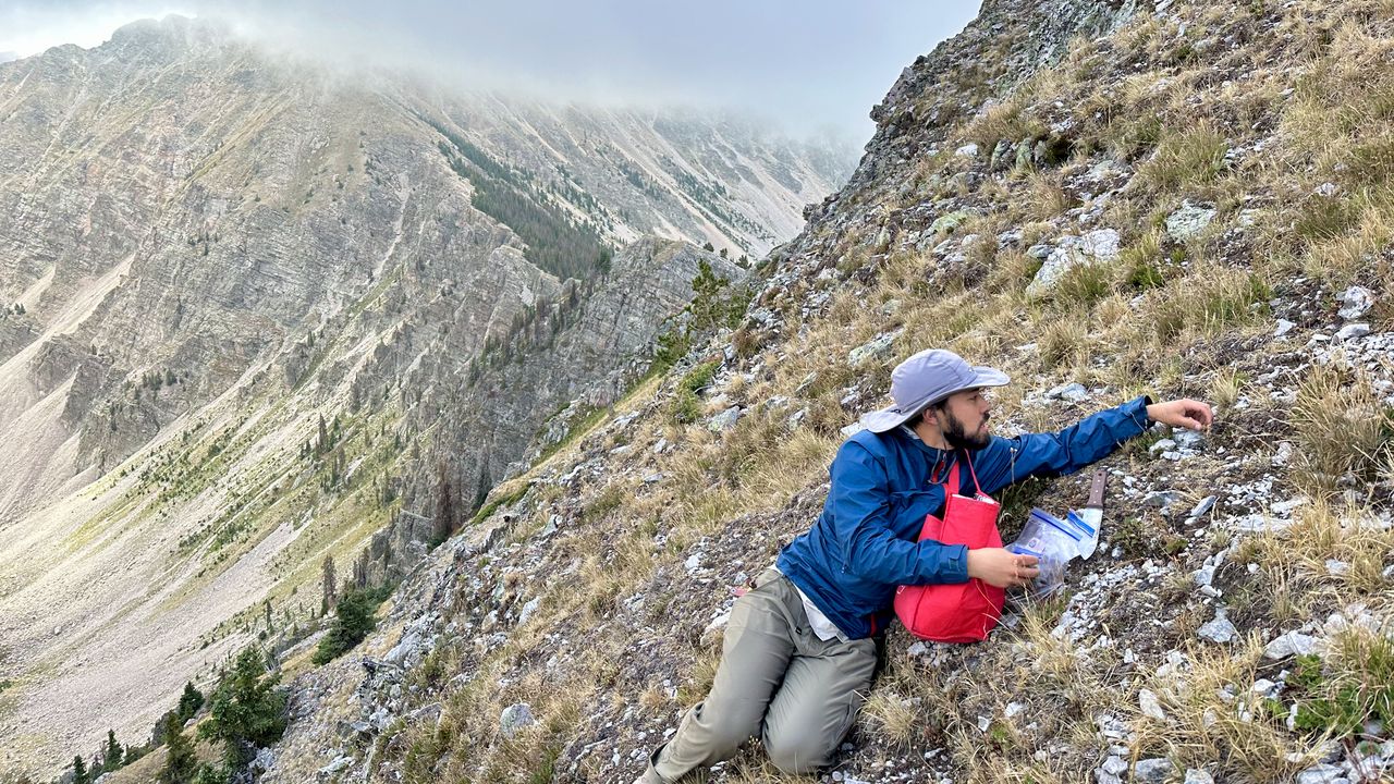 American Institute of Biological Sciences winning photo