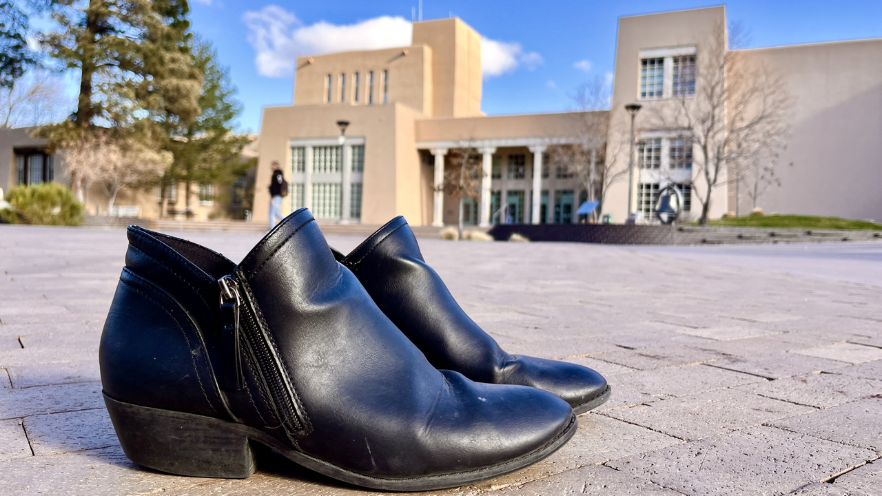 SoleSurvivorShoeDrive