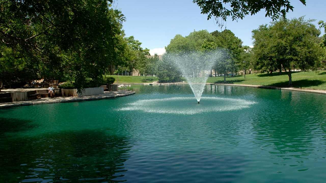 Newly cleaned pond