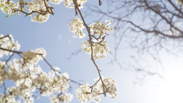 UNM Social Work Interns to host Well-Being Workshop