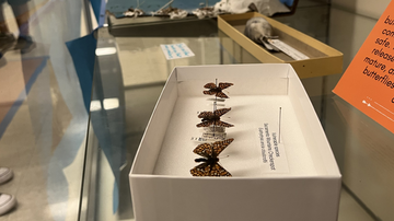 New display shows local eighth graders work about Museum of Southwestern Biology