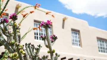 UNM Student Support Services-TRIO alumnus receives Achievement Award