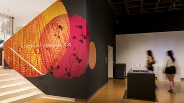UNM Art Museum hosts research showcase