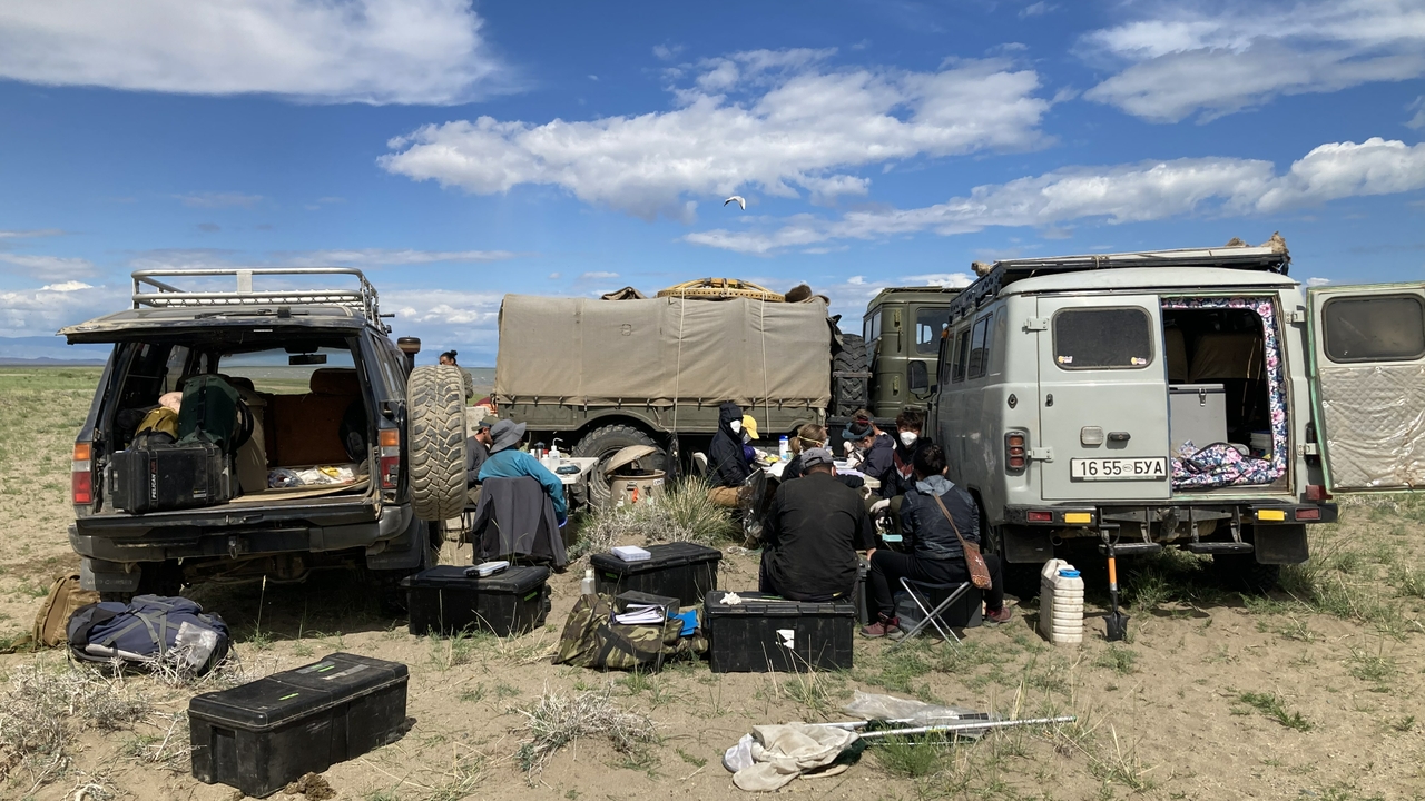 Conducting field work in Mongolia 