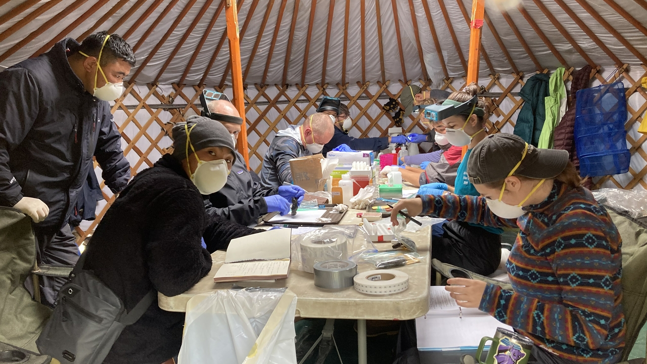 Researchers in Mongolia 