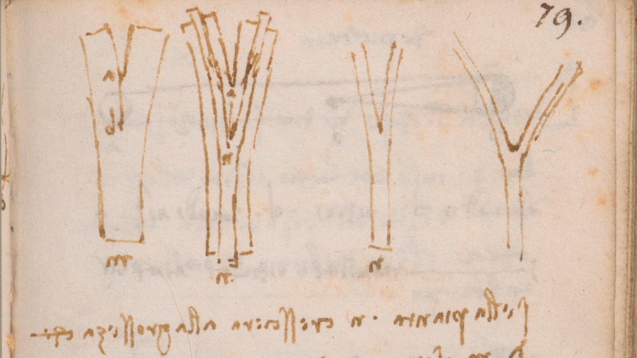 Sketches from da Vinci's notebook 