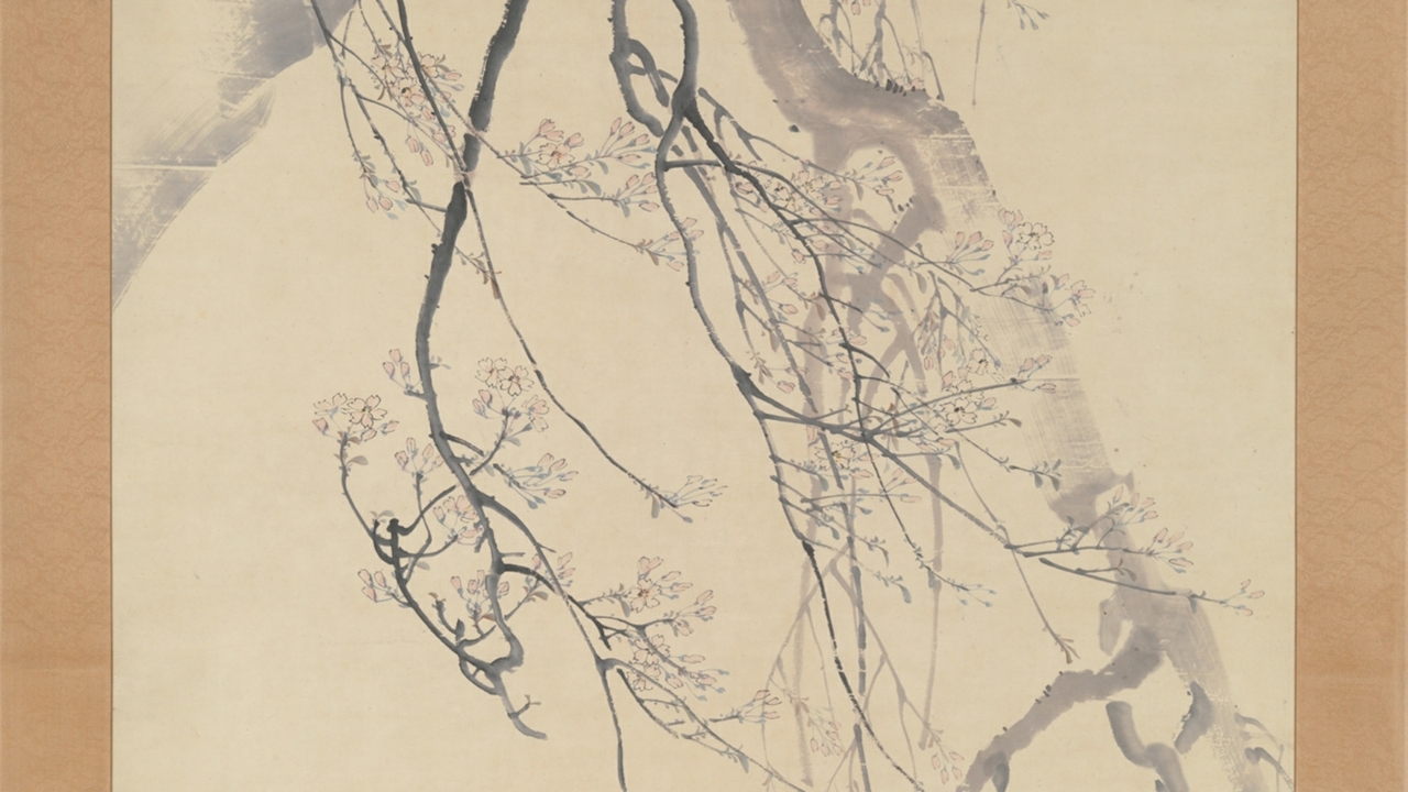 Cherry Blossoms by Matsumura Goshun 