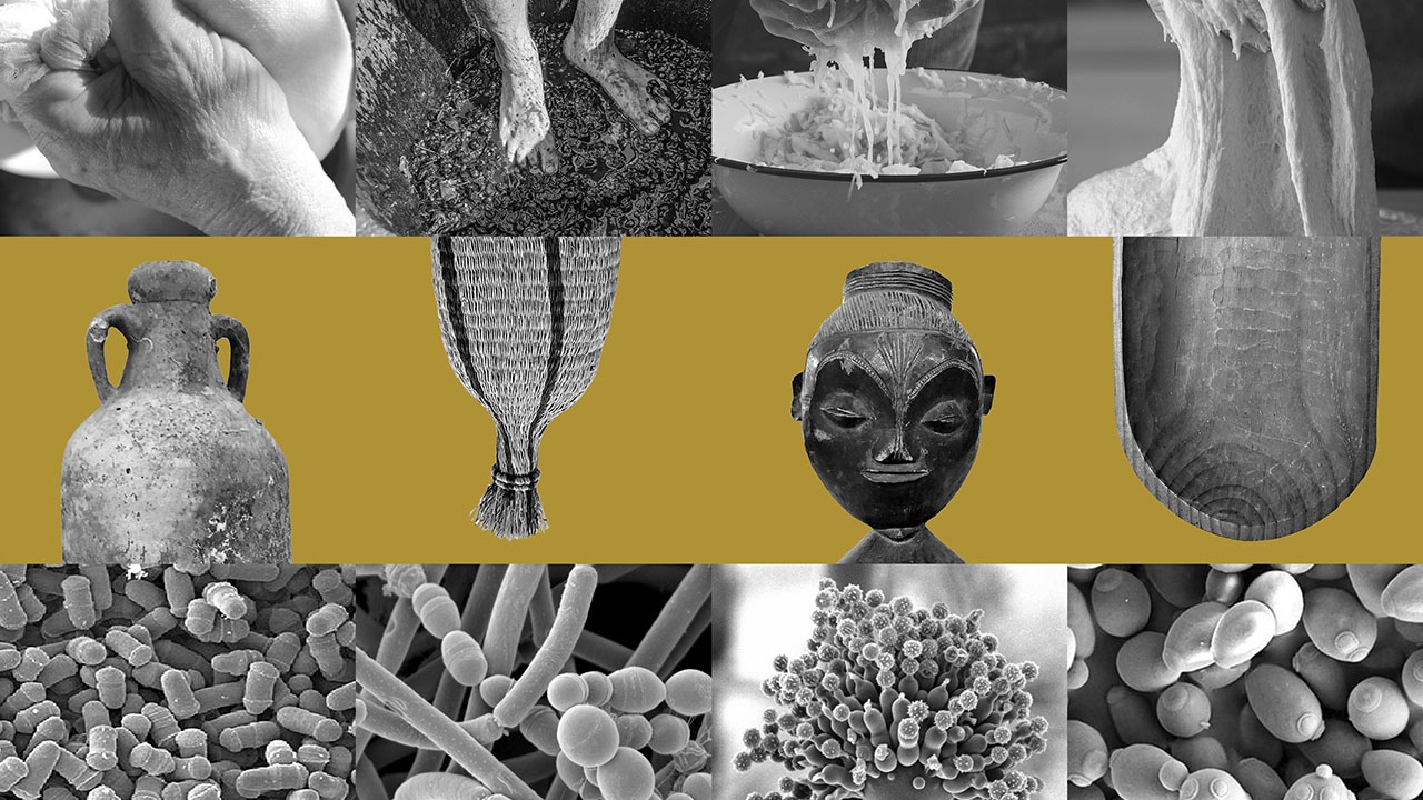 Fermentation_Exhibit