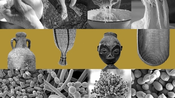Maxwell Museum of Anthropology set to open new exhibit 