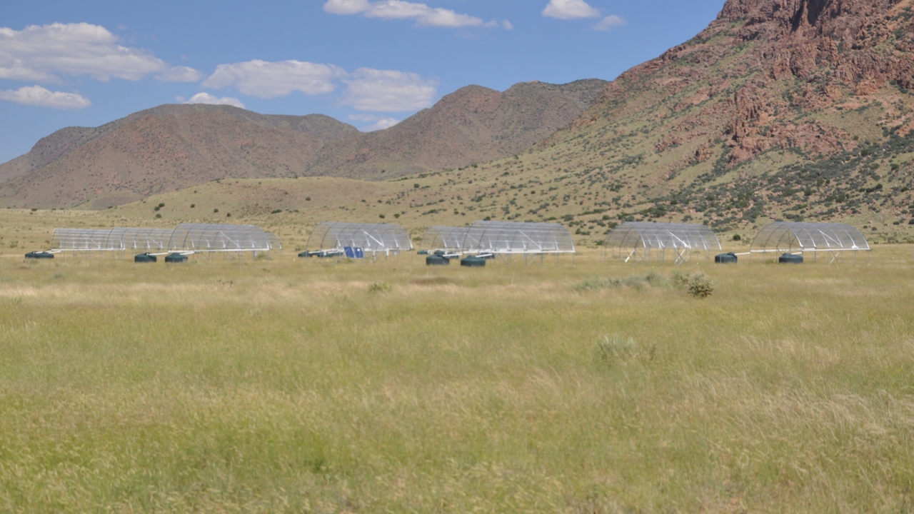 New Mexico site