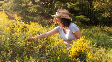 From plant to pigment: UNM alumna creates her own palette