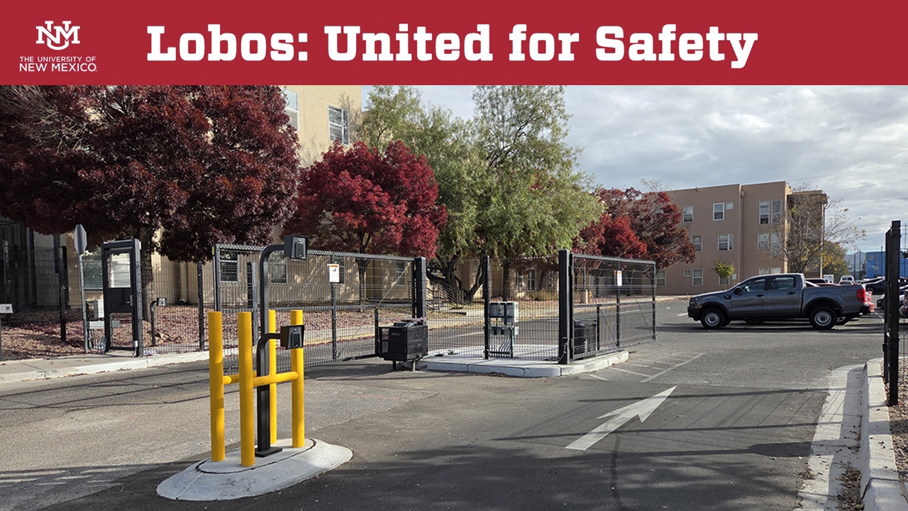 Security fencing and gated access 