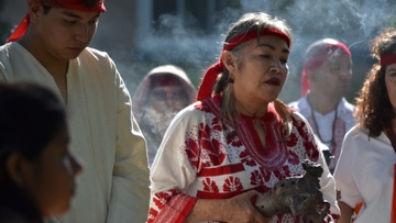 UNM Curanderismo summer program shares traditional healing practices 