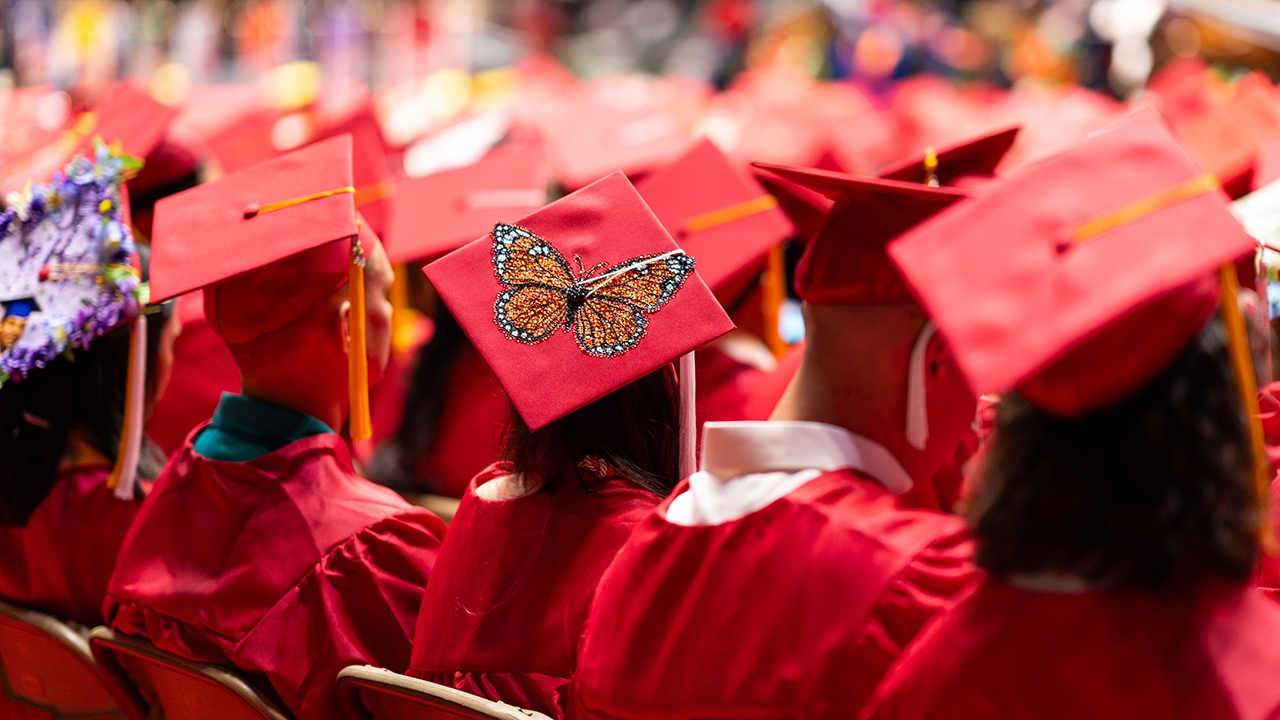 Decorated graduation caps