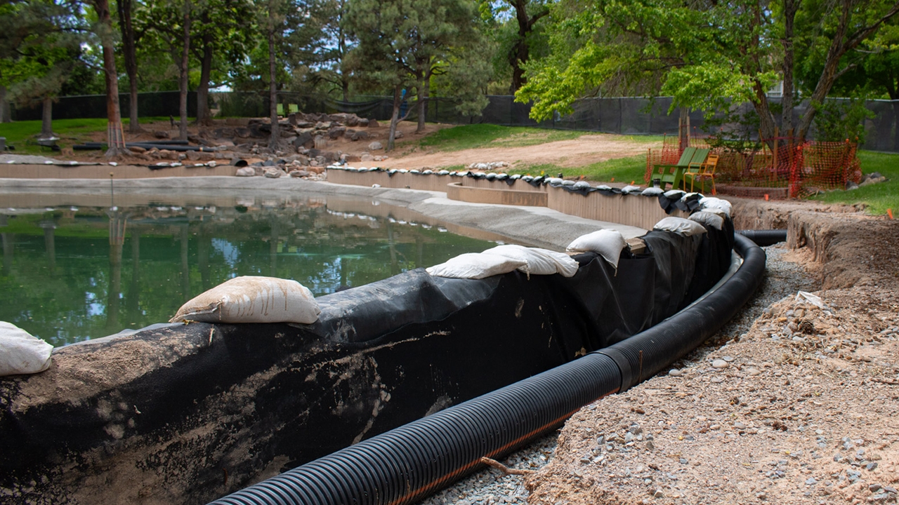 Duck Pond construction update