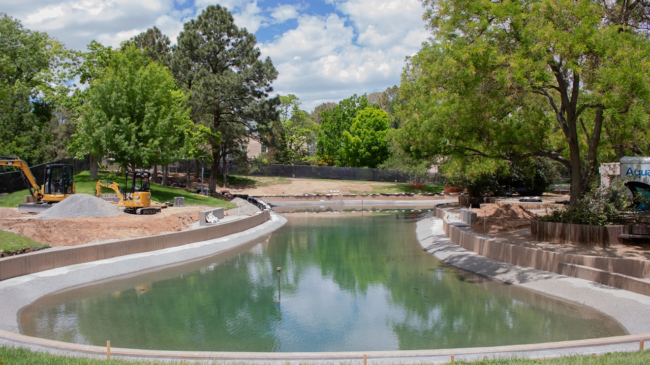 Duck Pond construction update