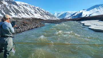 UNM Earth & Planetary Sciences professor receives Early Career TUNDRA award for Arctic research