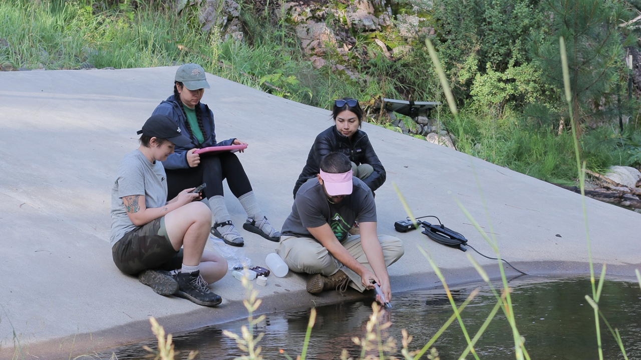 Student researchers collect and record 