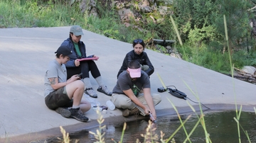 UNM’s ARID Institute receives $7 million grant to transform forest and watershed management