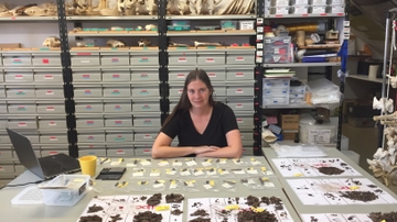 UNM anthropology professor's dilemma of portraying fact versus fiction