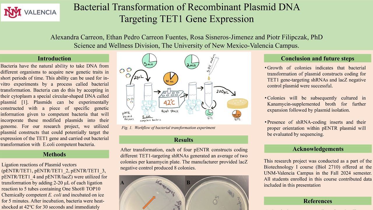 Example of student research