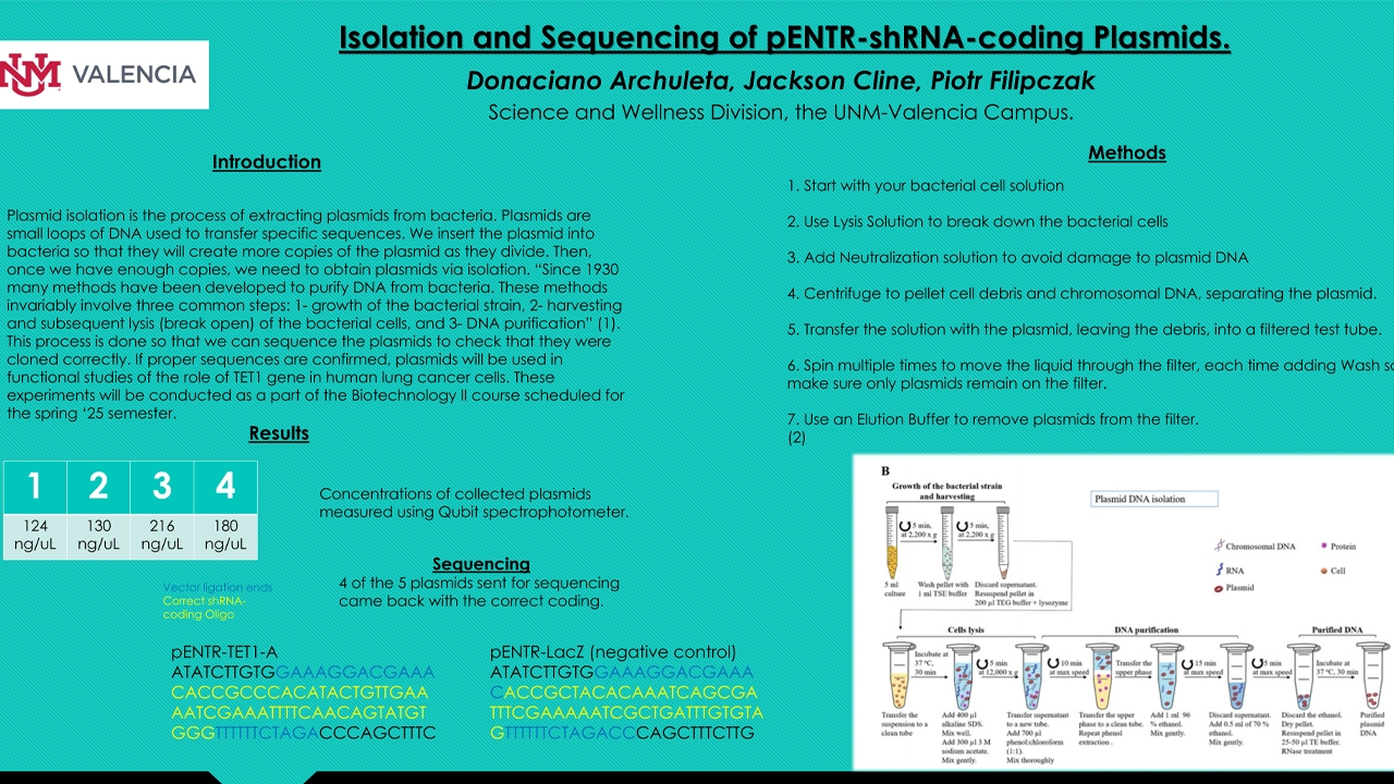 Example of student research