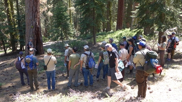 UNM center for fire resilience making a difference across New Mexico