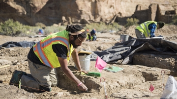 Scientists in the field dig to uncover