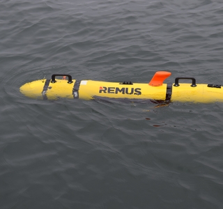 REMUS 100