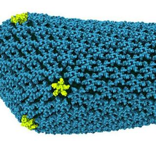 All-atom model of the HIV-1 capsid (PDBID: 3J3Y) -- Courtesy of TCBG-UIUC