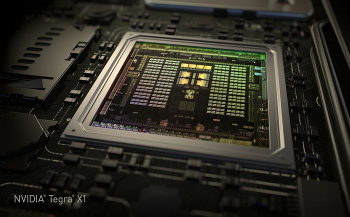 NVIDIA Tegra X1 Die